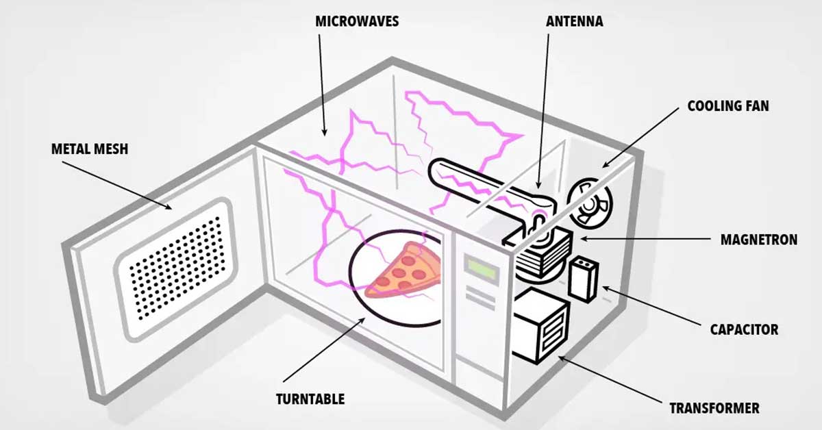 Physics Behind the Microwave Oven