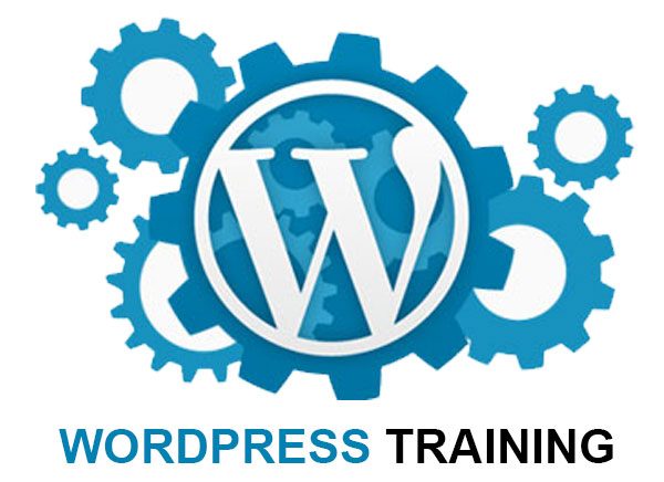 Wordpress Training in Haroonabad